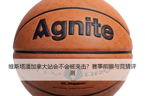 维斯塔潘加拿大站会不会被夹击？赛事前瞻与竞猜评测